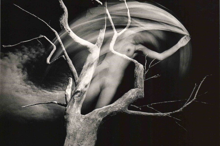 Foto: Miloslav Stibor, 777 00 Olomouc, K sídlišti 8